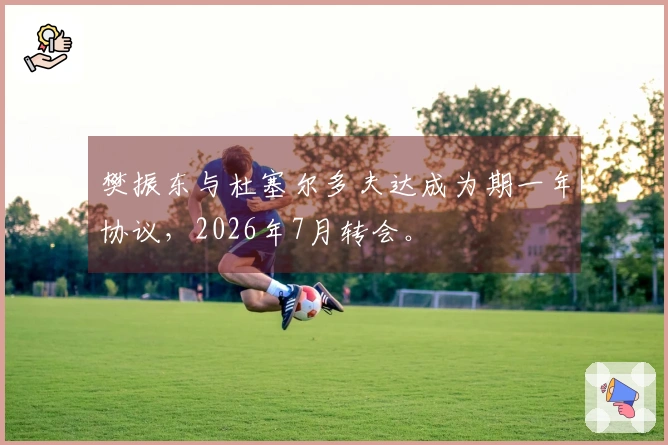 樊振东与杜塞尔多夫达成为期一年协议，2026年7月转会。