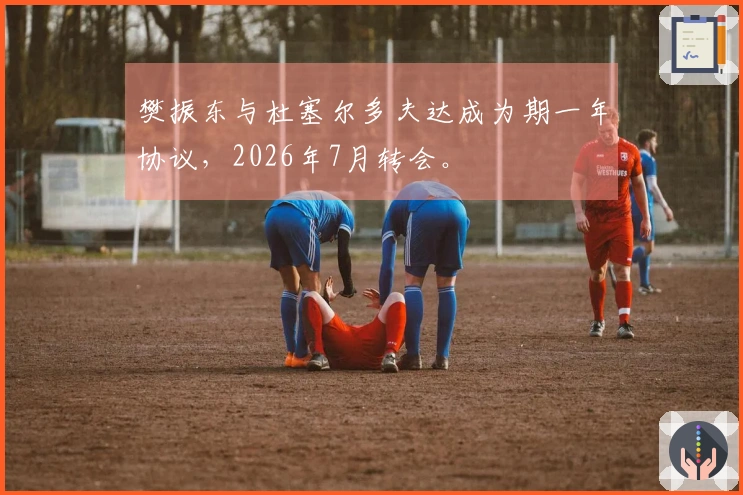 樊振东与杜塞尔多夫达成为期一年协议，2026年7月转会。