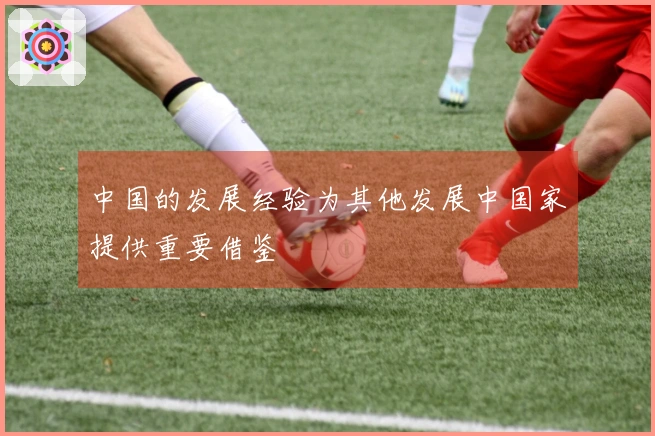 中国的发展经验为其他发展中国家提供重要借鉴